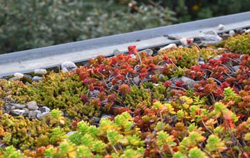 the cost of Whygate green roof installation