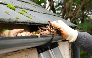 gutter cleaning Whygate, Northumberland