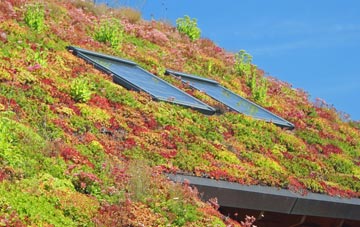 Whygate living roof systems