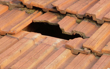 roof repair Whygate, Northumberland