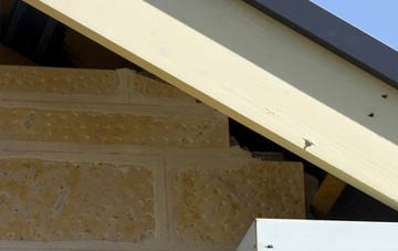 soffit repair Whygate
