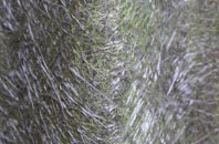 Whygate fibreglass roof work